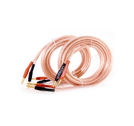 Wilson kabelis kolonėlėms 2x4mm (3m) - bananinės jungtys speaker cable banana Wilson kabelis kolonėlėms 2x4mm (3m) - bananinės jungtys speaker cable banana