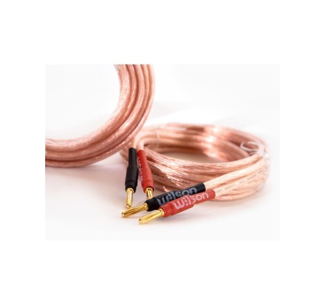 Wilson kabelis kolonėlėms 2x4mm (3m) - bananinės jungtys speaker cable banana Wilson kabelis kolonėlėms 2x4mm (3m) - bananinės jungtys speaker cable banana