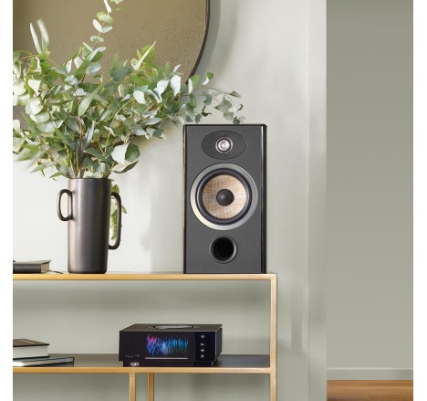 Focal Aria Evo X N°1 lentynė kolonėlė black Focal Aria Evo X N°1 lentynė kolonėlė black