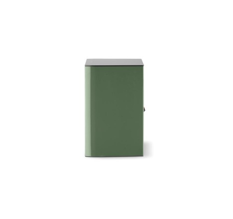 Focal Aria Evo X N°1  lentynė kolonėlė green 